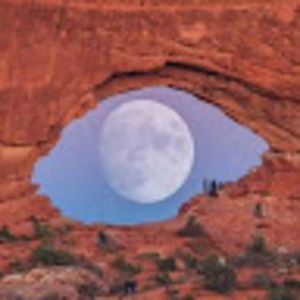 Meet your Posher, Wendee